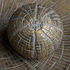 Oriana Ornamental Plate