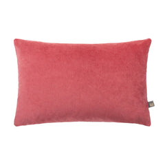 Richelle Cushion