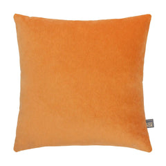 Richelle Cushion