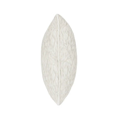Lainey Cushion